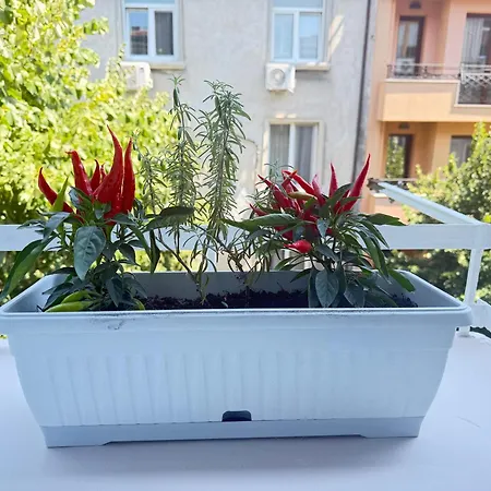 Апартамент Nm Prime Location *